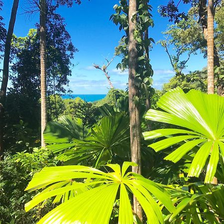 Daintree Magic Holiday House Cow Bay Exterior foto