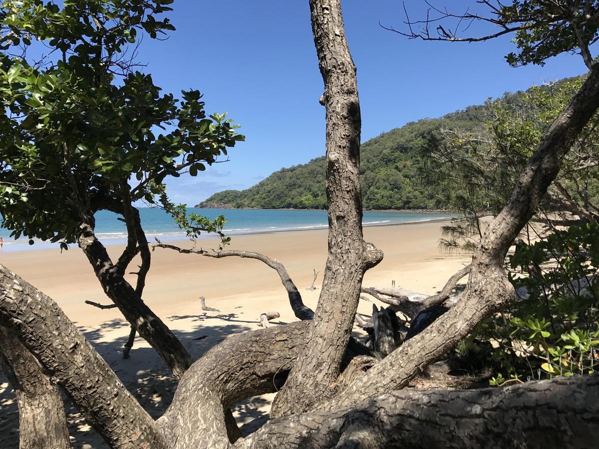 Daintree Magic Holiday House Cow Bay Exterior foto